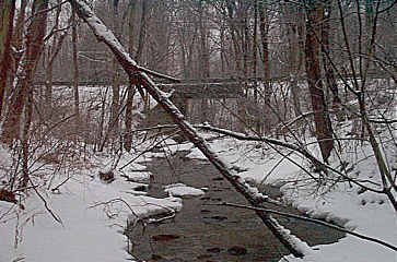 Click Here for Larger Version of Bradock Road