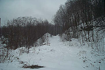 Click Here for Larger Version of Starting Up Trail