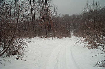 Click Here for Larger Version of First Road Fork