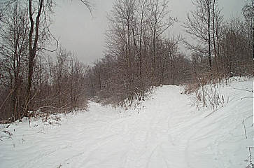 Click Here for Larger Version of Second Road Fork