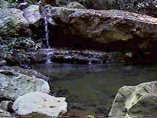 Glade Run (IMAGE)