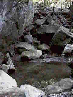 Glade Run (IMAGE)