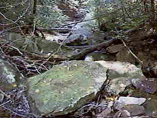 Glade Run (IMAGE)