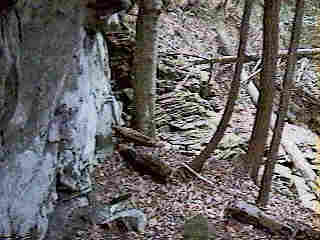 Glade Run (IMAGE)