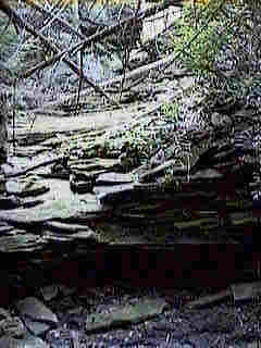 Glade Run (IMAGE)