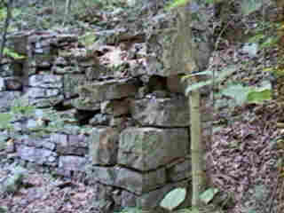 Glade Run (IMAGE)