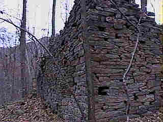 Glade Run (IMAGE)