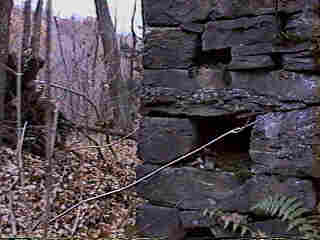 Glade Run (IMAGE)