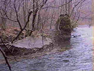 Glade Run (IMAGE)
