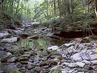 Glade Run (IMAGE)