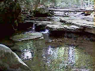 Glade Run (IMAGE)