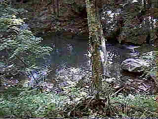 Glade Run (IMAGE)