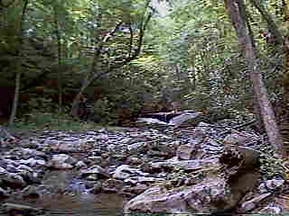 Glade Run (IMAGE)