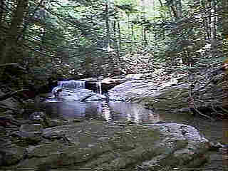 Glade Run (IMAGE)