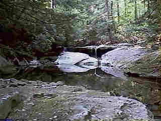 Glade Run (IMAGE)