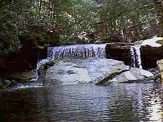 Glade Run (IMAGE)