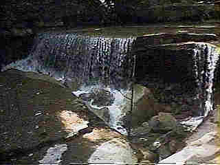 Glade Run (IMAGE)