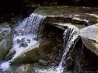 Glade Run (IMAGE)