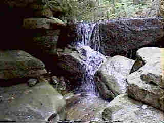 Glade Run (IMAGE)