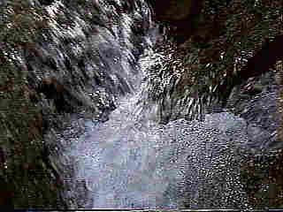 Glade Run (IMAGE)