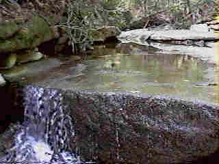 Glade Run (IMAGE)