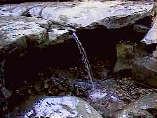 Glade Run (IMAGE)