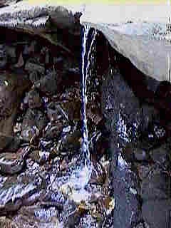 Glade Run (IMAGE)