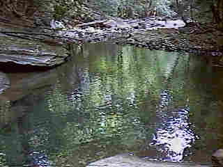Glade Run (IMAGE)