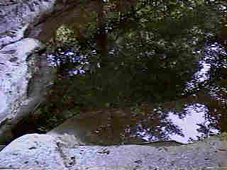 Glade Run (IMAGE)