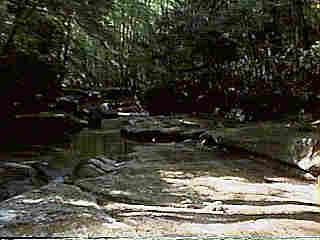Glade Run (IMAGE)