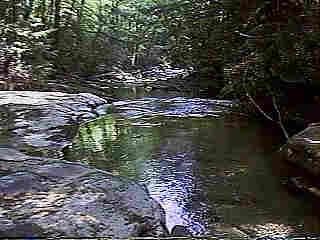 Glade Run (IMAGE)