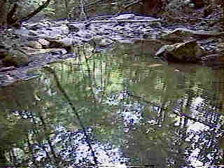Glade Run (IMAGE)