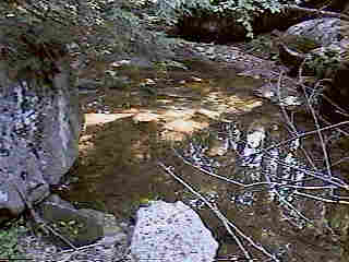 Glade Run (IMAGE)