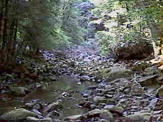Glade Run (IMAGE)