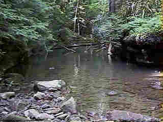 Glade Run (IMAGE)