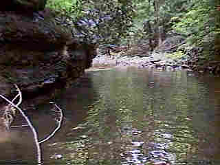 Glade Run (IMAGE)