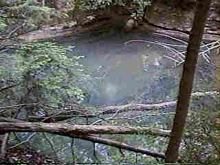 Glade Run (IMAGE)
