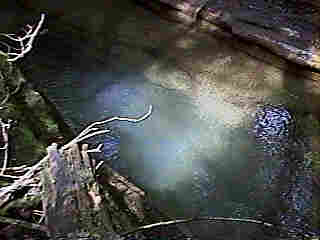 Glade Run (IMAGE)