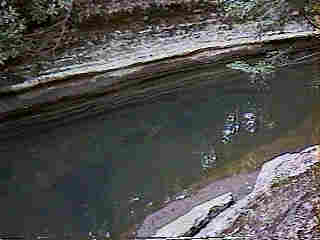 Glade Run (IMAGE)