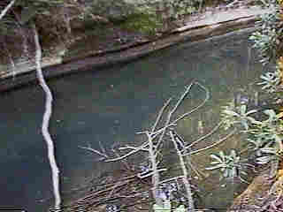 Glade Run (IMAGE)
