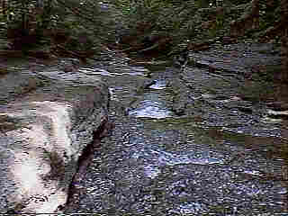 Glade Run (IMAGE)
