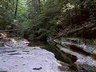 Glade Run (IMAGE)