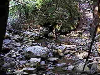 Glade Run (IMAGE)