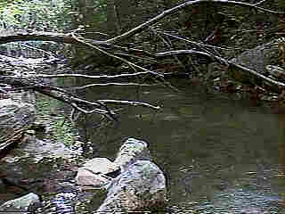 Glade Run (IMAGE)