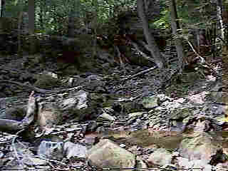 Glade Run (IMAGE)