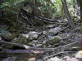 Glade Run (IMAGE)
