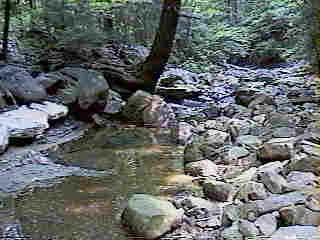 Glade Run (IMAGE)