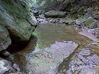 Glade Run (IMAGE)