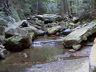 Glade Run (IMAGE)