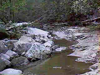 Glade Run (IMAGE)